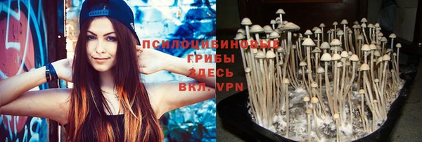 каннабис Пестово
