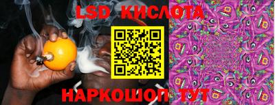 ГАЛЛЮЦИНОГЕННЫЕ ГРИБЫ Гатчина