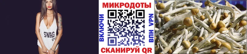 сколько стоит  Соликамск  Галлюциногенные грибы мицелий 